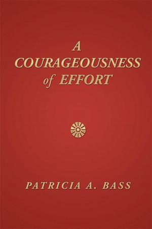 Cover of the book A Courageousness of Effort by ROSS D. CLARK DVM
