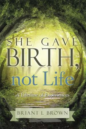 Cover of the book She Gave Birth, Not Life by Donald E. Fink
