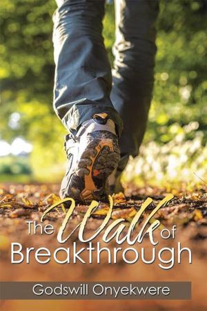 Cover of the book The Walk of Breakthrough by Virginia King