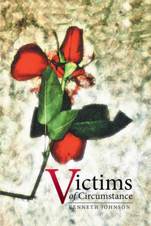 Cover of the book Victims of Circumstance by Gabriel Leif Bellman