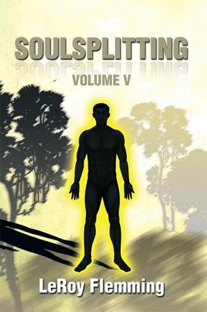 Cover of the book Soulsplitting by Luke Baker