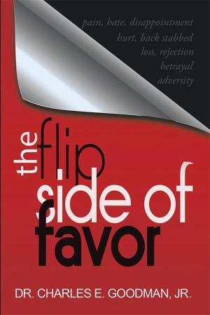 Book cover of The Flip Side of Favor
