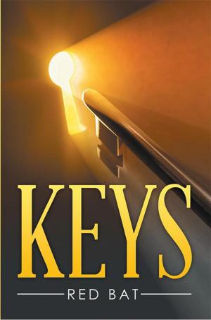 Cover of the book Keys by Kitt Foxx