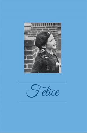 Cover of the book Felice by Amode Judah