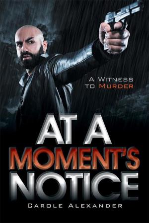 Cover of the book At a Moment’S Notice by Marlene E. Purvis