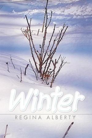 Cover of the book Winter by Steven Taga Mapepa