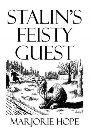 Cover of the book Stalin’S Feisty Guest by Terri Stober