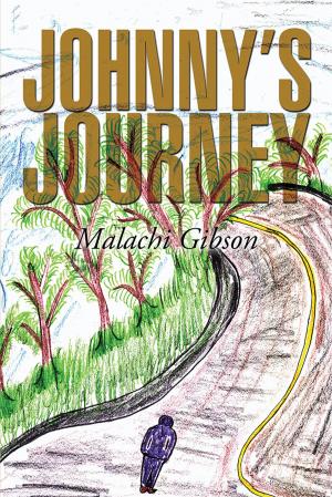 Cover of the book Johnny’S Journey by John Lang