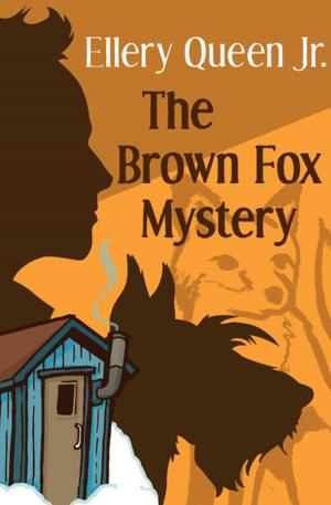 Cover of the book The Brown Fox Mystery by Lois Lenski