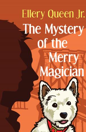 Book cover of The Mystery of the Merry Magician