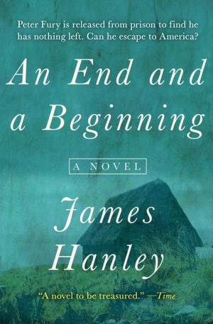 Cover of the book An End and a Beginning by Diane Hoh, Barbara Steiner