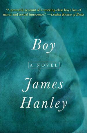 Cover of the book Boy by Janet Taylor Lisle