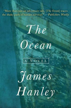Cover of the book The Ocean by Paul Lederer
