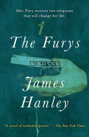 Cover of the book The Furys by Lawrence Durrell