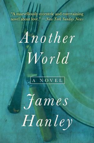 Cover of the book Another World by Robin Jarvis