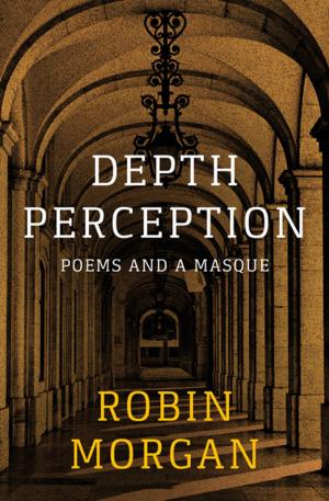 Book cover of Depth Perception