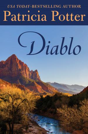 Cover of the book Diablo by Zilpha Keatley Snyder