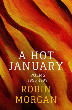 Cover of the book A Hot January by Richard S. Prather