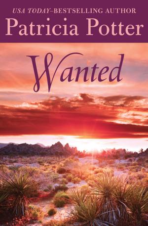 Cover of the book Wanted by Shirley Ann Grau