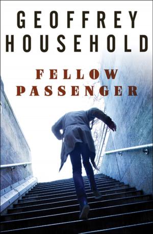 Cover of the book Fellow Passenger by Robert Michael