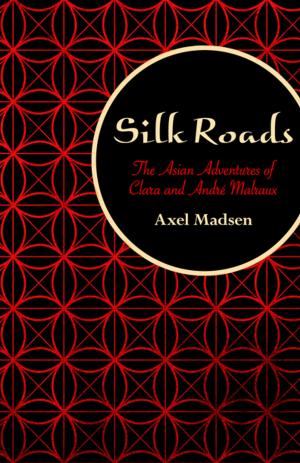 Cover of the book Silk Roads by John Darnton
