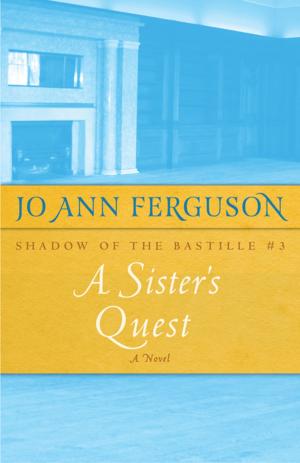Book cover of A Sister's Quest