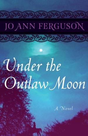 Cover of the book Under the Outlaw Moon by Scott Donaldson