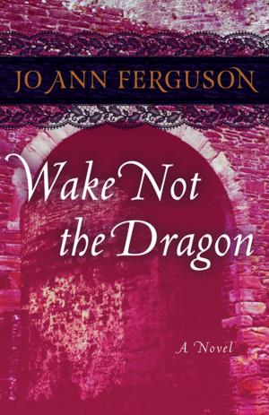 Cover of the book Wake Not the Dragon by Thomas Keneally
