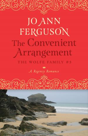 bigCover of the book The Convenient Arrangement by 