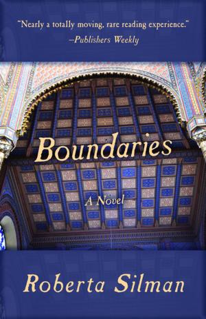 Cover of the book Boundaries by Toni Ortner