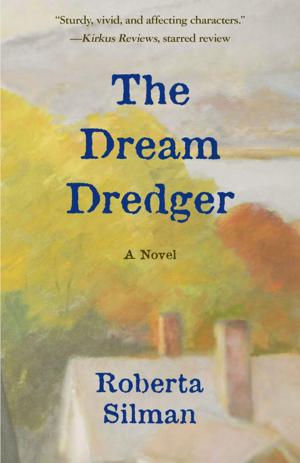 Cover of the book The Dream Dredger by Toni Ortner
