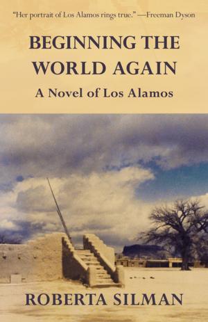 Book cover of Beginning the World Again