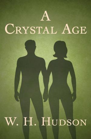 Cover of the book A Crystal Age by Rebecca West