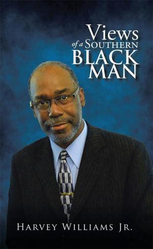 Cover of the book Views of a Southern Black Man by J.A. Smith