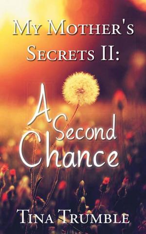 bigCover of the book My Mother's Secrets Ii: a Second Chance by 