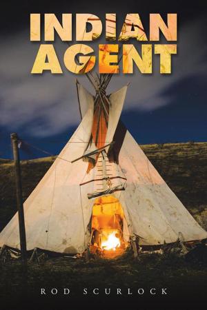 Cover of the book Indian Agent by Anthony D. Cefalu