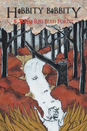 Cover of the book Hobbity Bobbity by John Raab