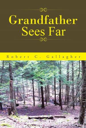 Cover of the book Grandfather Sees Far by Mary Kellizy