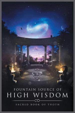 Cover of the book Fountain Source of High Wisdom by Peter Bunnett