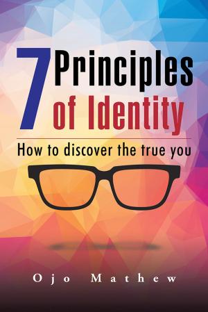 Cover of the book 7 Principles of Identity by S.N. Bronstein