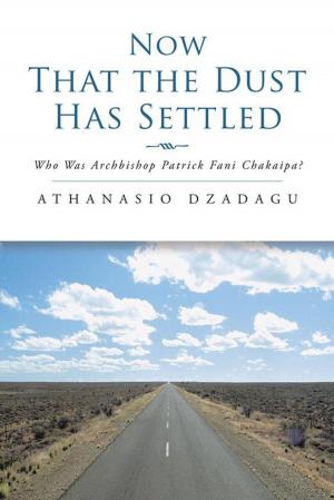 Cover of the book Now That the Dust Has Settled by William Allen Heinselman
