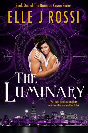 Cover of the book The Luminary by K.C. Stewart