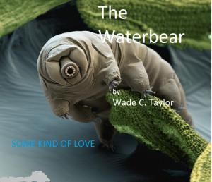 Cover of the book The Waterbear by Jordyn White