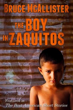 Book cover of The Boy in Zaquitos