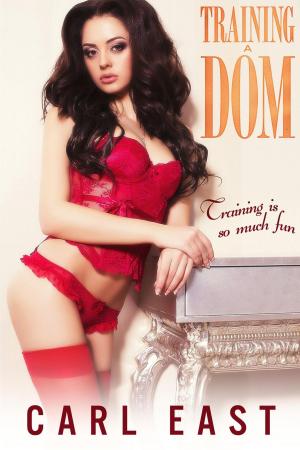 bigCover of the book Training a Dom by 