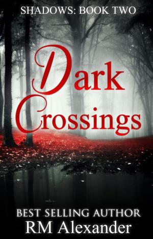 Cover of the book Dark Crossings by Angela Beegle