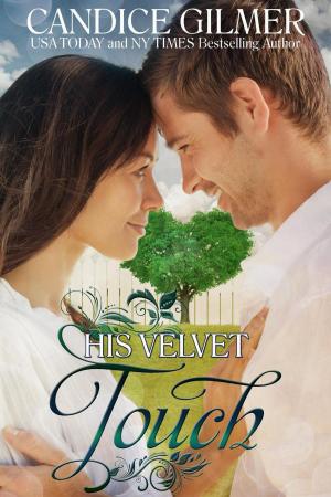 Cover of the book His Velvet Touch by Candice Gilmer