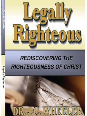 bigCover of the book Legally Righteous by 