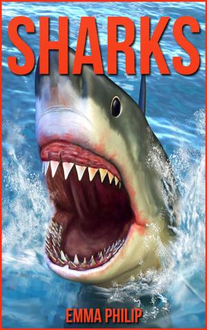 Cover of the book Sharks by Kathryn Anne Burns
