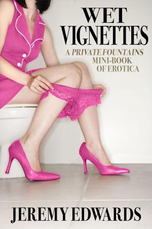 Book cover of Wet Vignettes (A Private Fountains mini-book of erotica)
